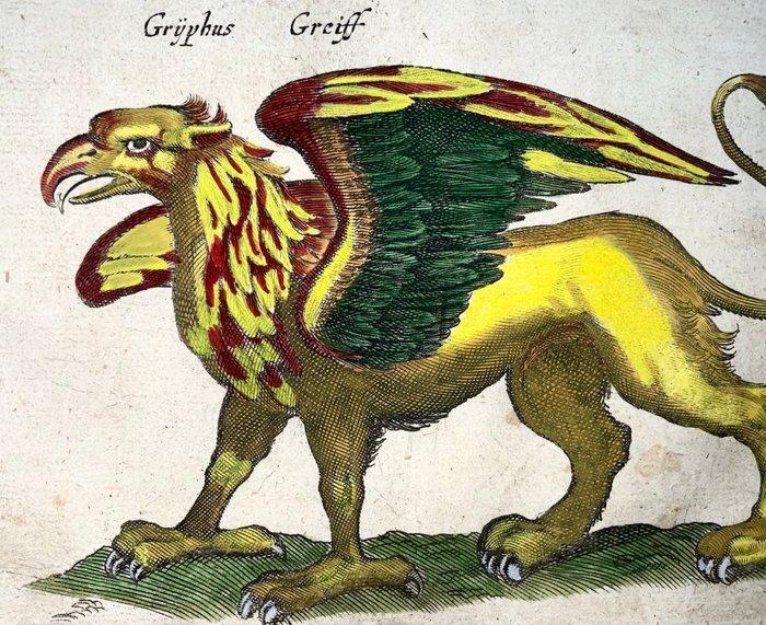Matthäus Merian (b1593) - hand col. folio: Monster Griffin, Antiek en Kunst, Antiek | Boeken en Bijbels