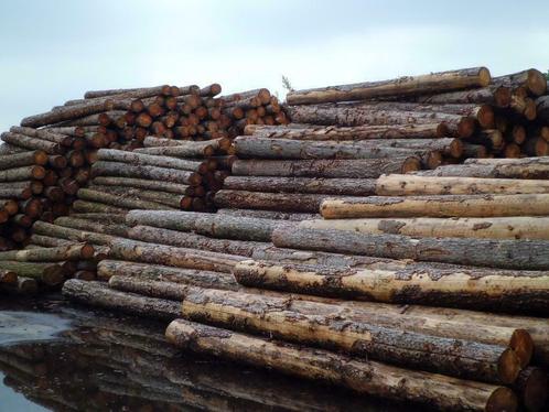 Douglas hout: Schaaldelen, Balkhout, Potdekselplanken etc..., Doe-het-zelf en Verbouw, Hout en Planken, Overige houtsoorten, 300 cm of meer