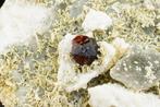 Oranje SPESSARTIET ROZENQUARTS met ROOKQUARTZ, FLUORIET en, Verzamelen, Mineralen en Fossielen