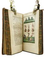 M. Guyot - Nouvelles Récréations Physiques et Mathématiques, Antiek en Kunst