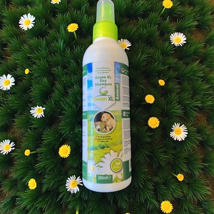 Droogshampoo voor honden – probiotische vachtreiniging, Dieren en Toebehoren, Honden-accessoires, Nieuw, Ophalen of Verzenden