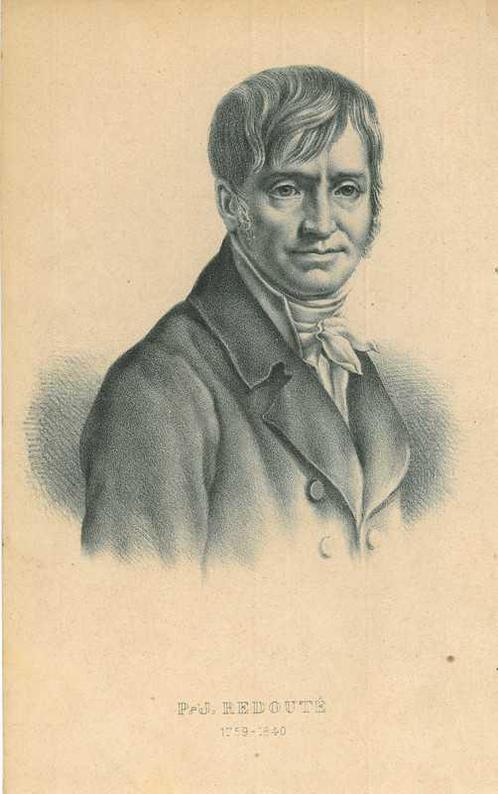 Portrait of Pierre-Joseph Redoute, Antiek en Kunst, Kunst | Etsen en Gravures