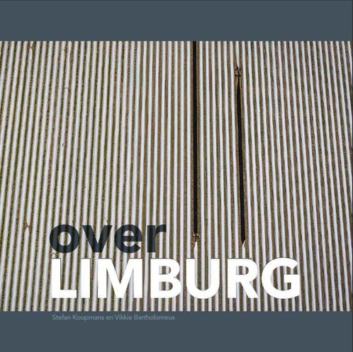 Over Limburg 9789085961031 Vikkie Bartholomeus, Boeken, Kunst en Cultuur | Fotografie en Design, Gelezen, Verzenden