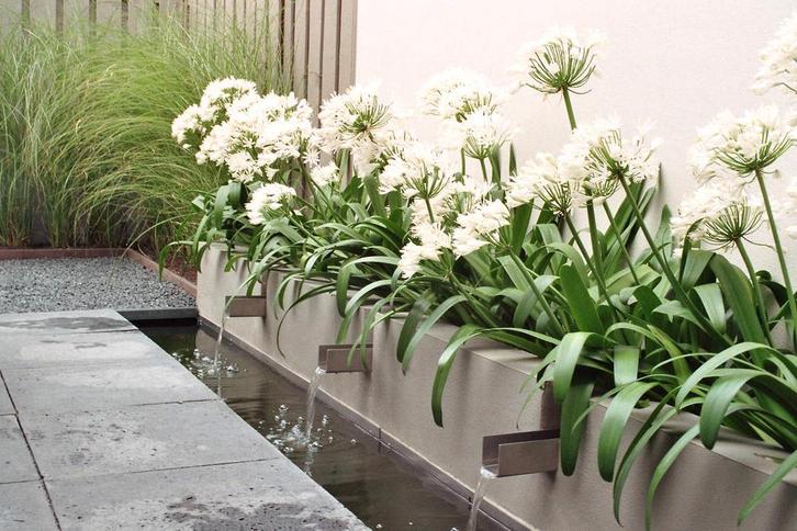 Hovenier Bergen op Zoom, Tuinaanleg van A tot Z, Diensten en Vakmensen, Tuinmannen en Stratenmakers, Bestrating, Hekwerk of Schuttingen