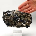 Arsenopiriet, kwarts op zwarte sfaleriet en gouden pyriet,