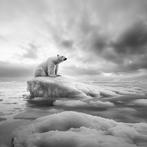 Rudy barret - Guardian of the Ice - XL