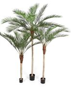 Kunstplant Phoenix Palm Plastic 180 cm, Huis en Inrichting, Kamerplanten