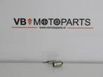 Lamp 12V 3W BA9S, Motoren, Ophalen of Verzenden, Nieuw
