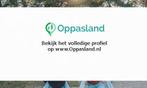 Marieke zoekt een oppas in Zeist voor 2 kinderen op dinsdag., Boeken, Nieuw