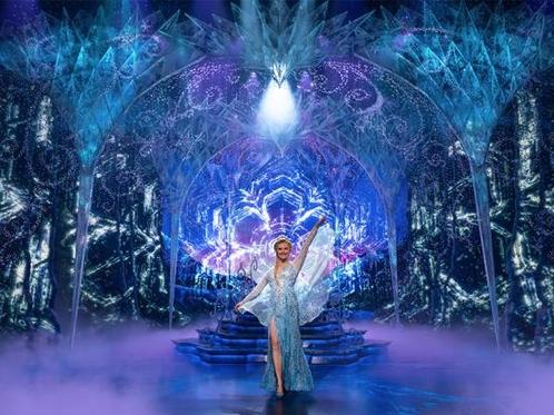 Disney FROZEN de Musical incl. busvervoer (20 of 24 nov.), Tickets en Kaartjes, Overige Tickets en Kaartjes