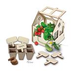 SES - Explore - Broeikas met groenten (Knutselpakketten), Verzenden, Nieuw, Knutselen