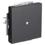 Blindplaat | Busch-Jaeger | Future Linear (Zwart), Doe-het-zelf en Verbouw, Elektra en Kabels, Verzenden, Nieuw