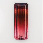 1 pcs Roze, Bruin, Rood Toermalijn - 16.86 ct - nternational, Nieuw