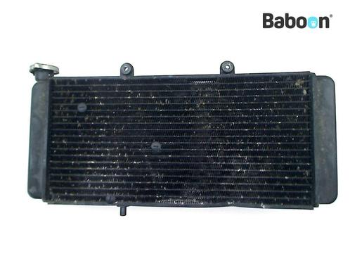 Radiateur Aprilia ETV 1000 Caponord 2004-2008 (ETV1000), Motoren, Onderdelen | Overige, Gebruikt, Verzenden