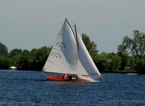Regenboog 43, Watersport en Boten, Open zeilboten, Nieuw