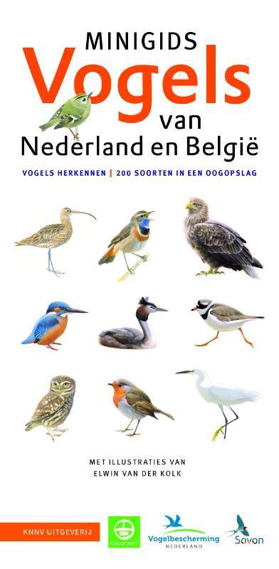 Minigids Vogels van Nederland en België / Minigids / 1, Boeken, Hobby en Vrije tijd, Zo goed als nieuw, Verzenden