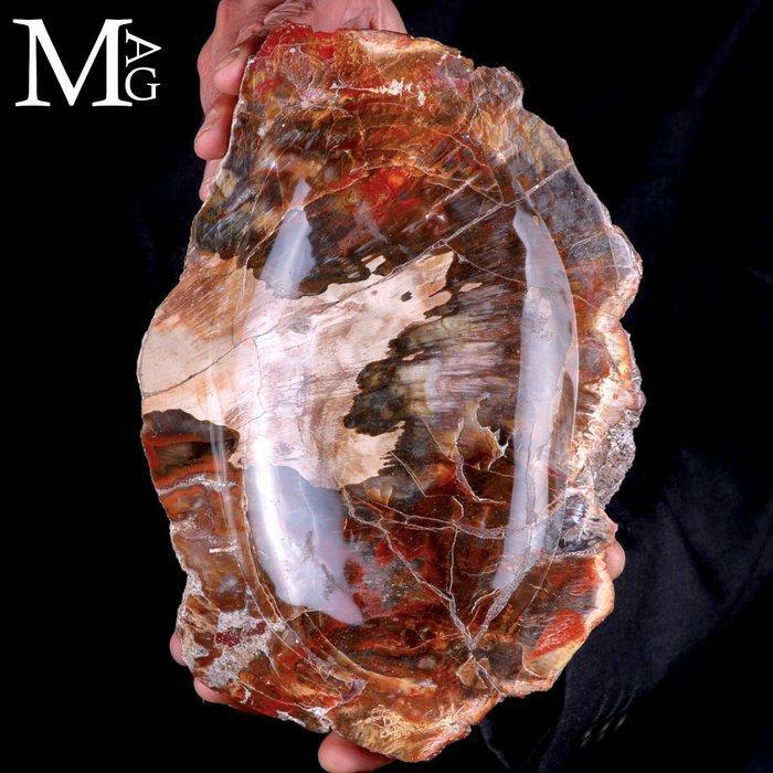 Handgemaakte versteende hout opvangbak - Een tijdloze, Antiek en Kunst, Curiosa en Brocante