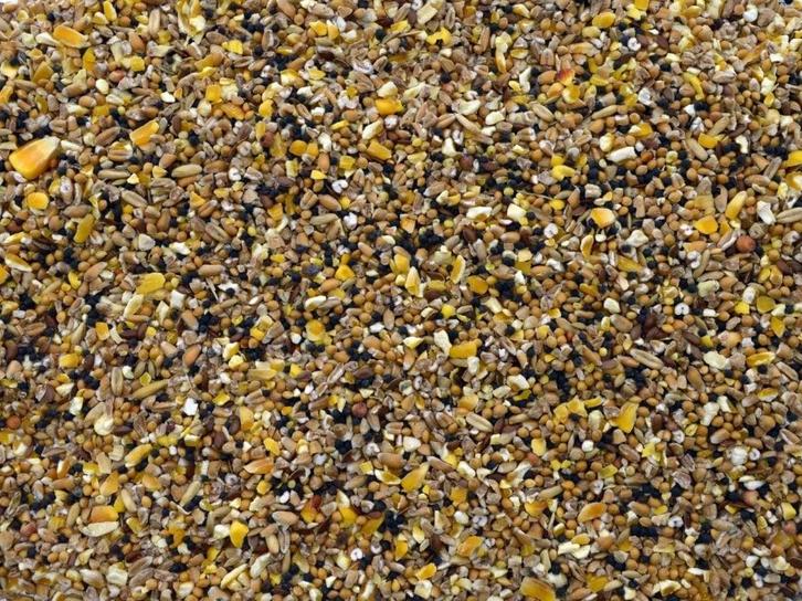 Mussenzaad kopen | Voedzaam vogelvoer voor mussen en, Dieren en Toebehoren, Vogels | Toebehoren, Nieuw, Verzenden