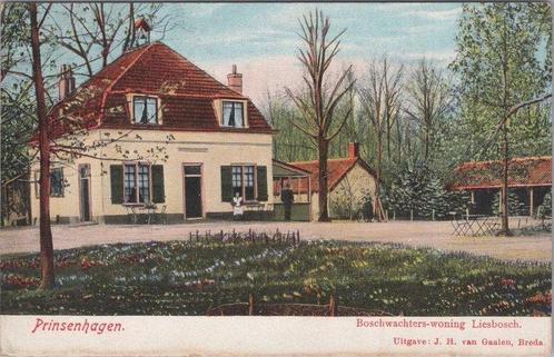PRINCENHAGEN - Boschwachters-woning Liesbosch, Verzamelen, Ansichtkaarten | Nederland, Verzenden