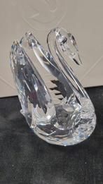 Signum zwaan middel 5613255 - boxed - Swaovski - Beeldje -