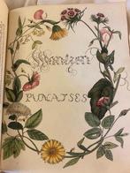 Caspar Stoll - Cicadas and Tree Bugs: Natuurlyke en naar t, Antiek en Kunst