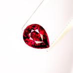 Zonder Minimumprijs Granaat - 2.81 ct - International, Nieuw