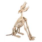 Halloween Decoratie Skelet Huilende Wolf Met Licht Geluid En, Verzenden, Nieuw, Overige typen