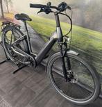 Pegasus Strong • Electrische Damesfiets 625WH Accu • E Bike, Overige merken, Ophalen of Verzenden, Zo goed als nieuw, 47 tot 51 cm