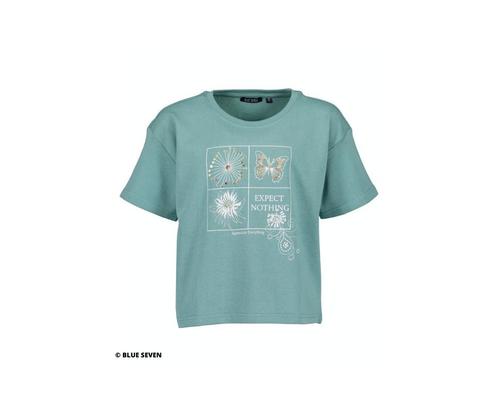 Sweat shirt - korte mouwen - maten: 140, 152, 164, 176 -, Kinderen en Baby's, Kinderkleding | Overige, Nieuw, Verzenden