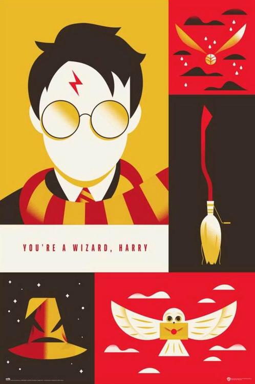 Poster Harry Potter 100th Anniversary WB 61x91,5cm, Verzamelen, Posters, Nieuw, A1 t/m A3, Verzenden