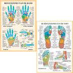Anatomie posters hand- en voetreflexologie (Nederlands,...., Nieuw
