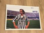 Juventus - Italiaanse voetbal competitie - Michel Platini -, Nieuw