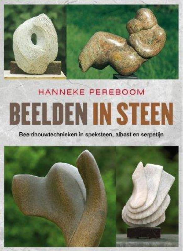 Beelden in steen 9789058779175 Hanneke Pereboom, Boeken, Hobby en Vrije tijd, Zo goed als nieuw, Verzenden