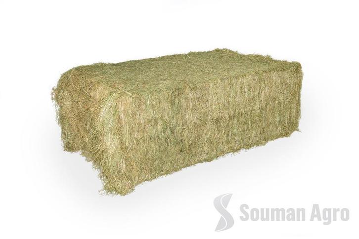 Weidehooi en Kruiden Hooi - kleine en grote balen, Dieren en Toebehoren, Dierenvoeding, Vee, Ophalen of Verzenden