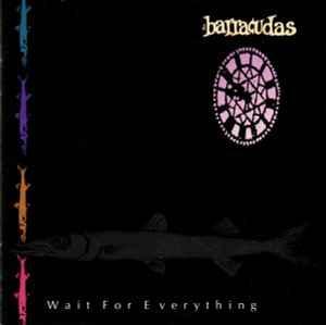 cd - Barracudas - Wait For Everything, Cd's en Dvd's, Cd's | Rock, Zo goed als nieuw, Verzenden