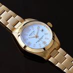 Norton - Tacito - Zonder minimumprijs - Unisex - 2026, Nieuw