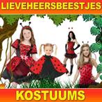Lieveheersbeestje pak - Lieveheersbeestjes kostuums, Kinderen en Baby's, Carnavalskleding en Verkleedspullen, Nieuw, Ophalen of Verzenden