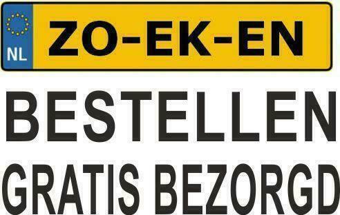 Accu 44 45 50 55 60 62 70 72 74 80 100 ah GRATIS BEZORGD, Auto-onderdelen, Accu's en Toebehoren, Alfa Romeo, Audi, Overige automerken