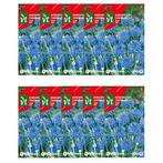 Korenbloemzaad | VT (Blauw) | 10 stuks, Tuin en Terras, Bloembollen en Zaden, Verzenden