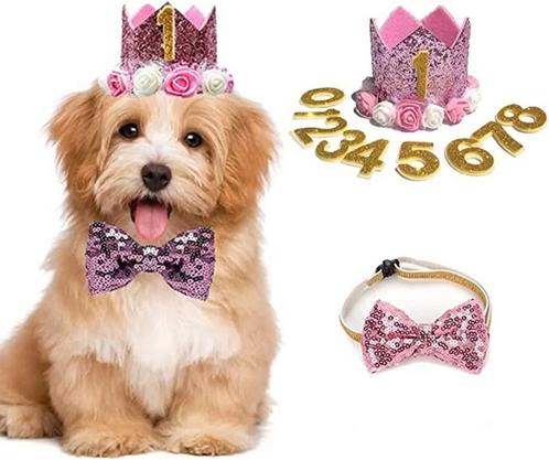 11-delige honden verjaardags set met hoedje, Dieren en Toebehoren, Honden-accessoires, Nieuw, Verzenden