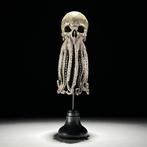 Octopus schedelbeeldhouwwerk Schedel - - - 32 cm - 12 cm -, Antiek en Kunst, Curiosa en Brocante