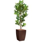 Ficus Lyrata kunstplant, H230cm, Huis en Inrichting, Kamerplanten, Ophalen of Verzenden