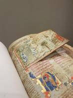 Dante Alighieri - Divina Commedia Palatino 313 (anno 1325):