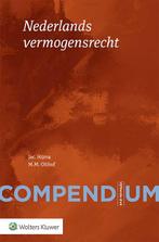 Compendium Nederlands vermogensrecht, Nieuw, Verzenden