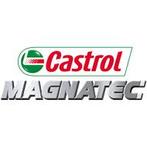 Castrol Magnatec 5W30 C2 1L, Verzenden
