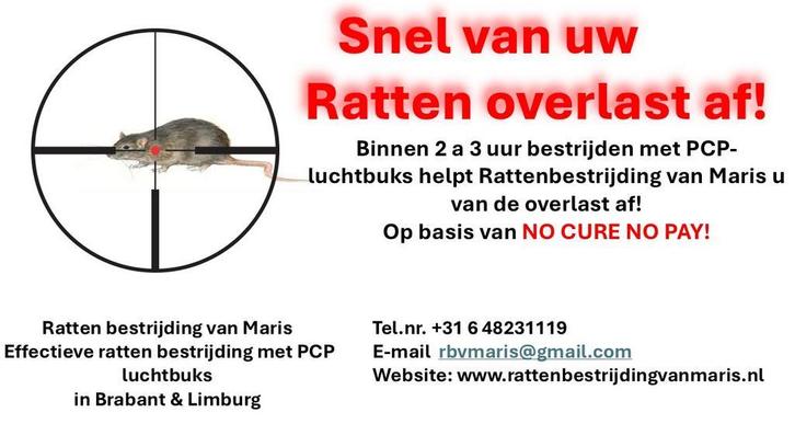 Ratten bestrijding van Maris  in Brabant en Limburg, Diensten en Vakmensen, Ongediertebestrijding