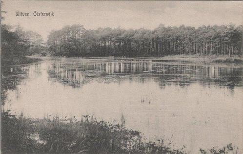 OISTERWIJK - Witven, Verzamelen, Ansichtkaarten | Nederland, Verzenden
