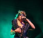 Peaches Tickets Paard Te Koop