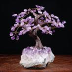 Bonsai Boom in Amethist met Natuurlijke Drusa en Geschuurde