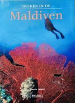 Duikgids in de Maldiven 9789062489572 C. Cangini, Verzenden, Gelezen, C. Cangini